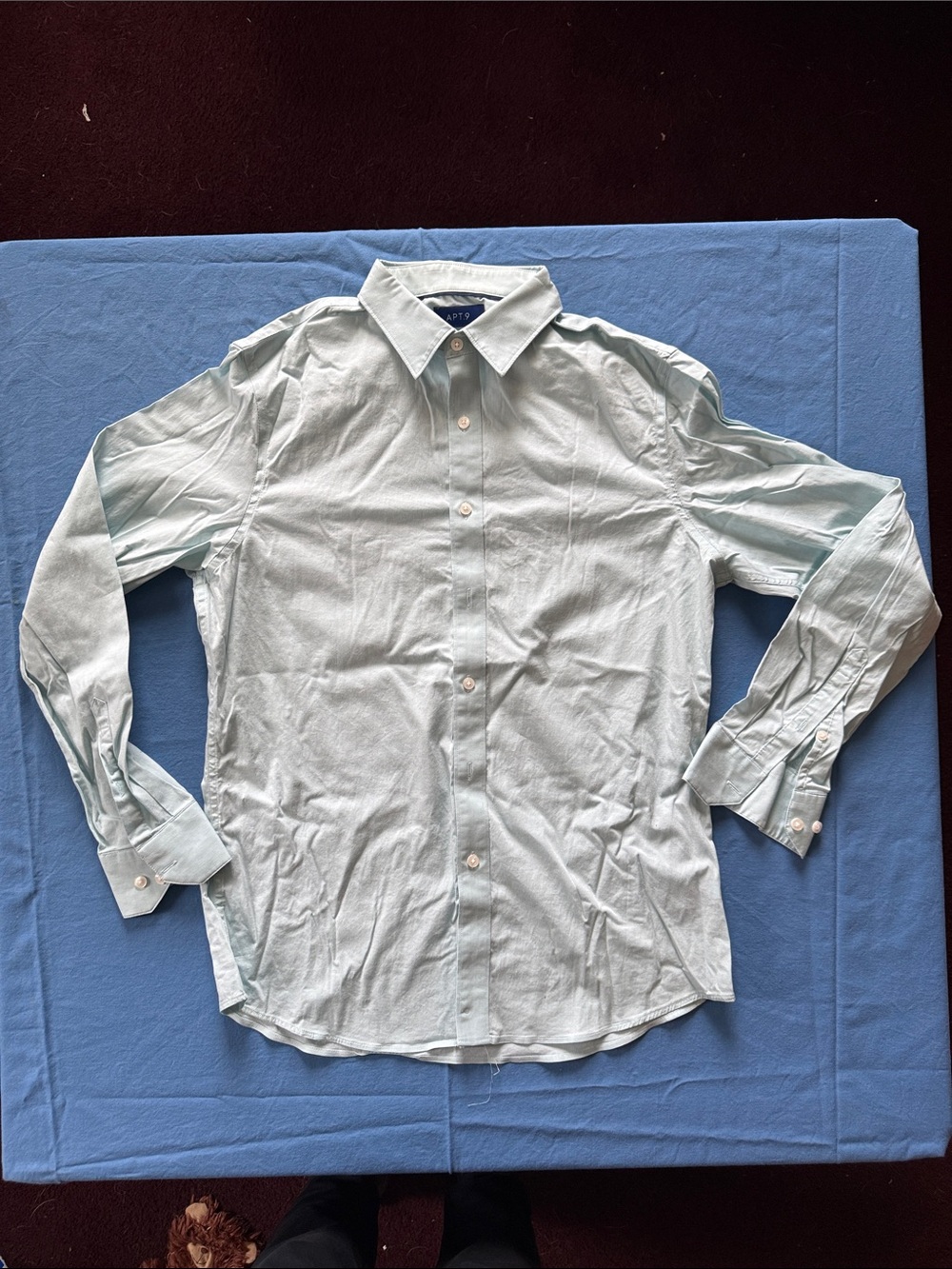 Apt. 9 Men’s Light Mint Long-Sleeve Button-Down Shirt